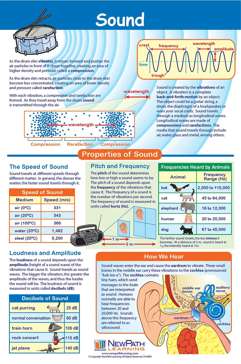 New Path Learning NewPath Physical Science Posters, Set/5 (Forces/Motion, Electricity, Magnetism, Sound, Light) - Laminated, Full-Color, 23" x 35" (34-9901) - Image 4